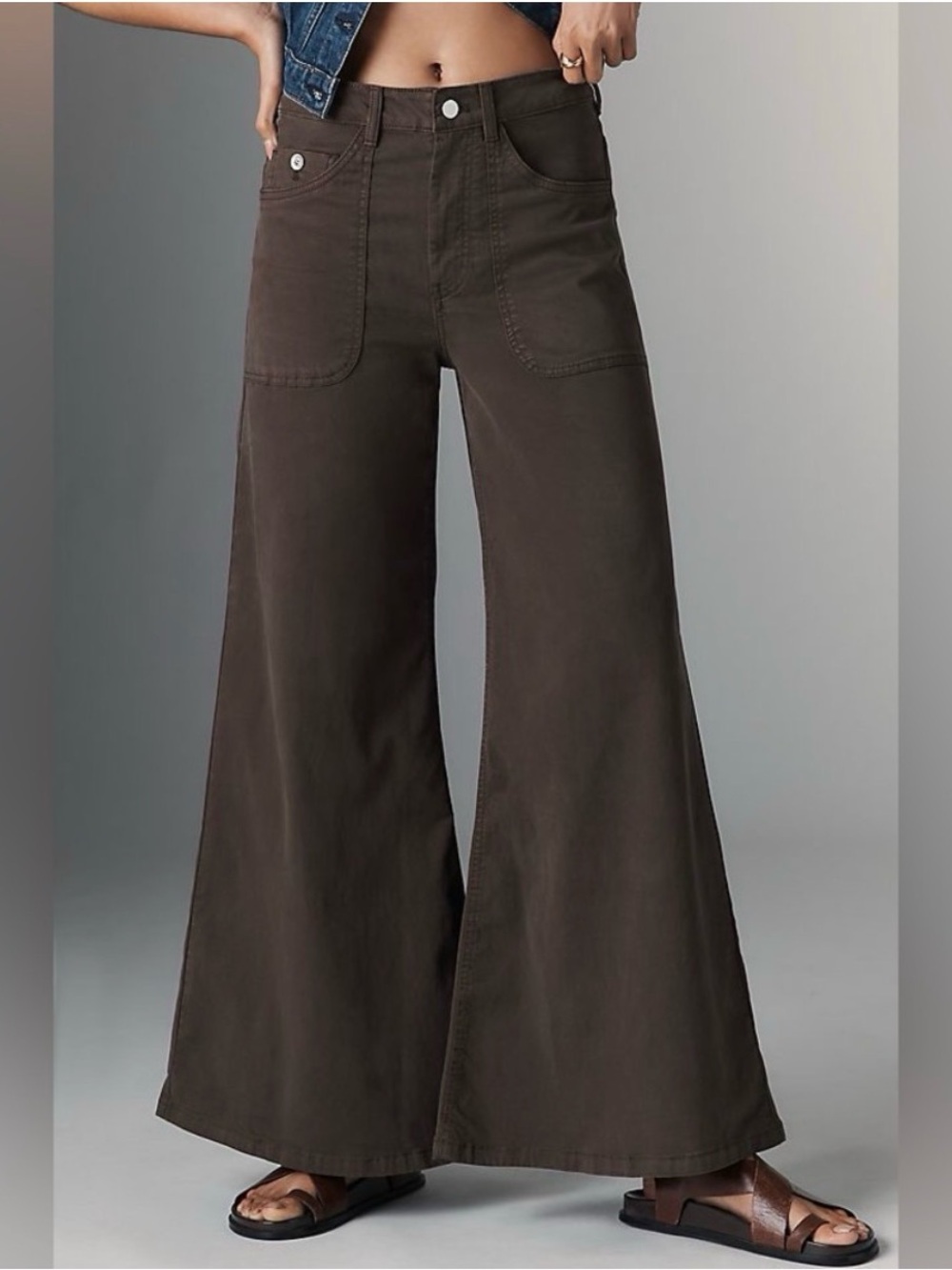 EUC Anthropologie Pilcro Wide Leg High-Rise Brown Utility Pants Size 28